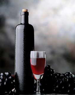 Vinařské slavnosti Polešovice_Top Víno Slovácka 2023
